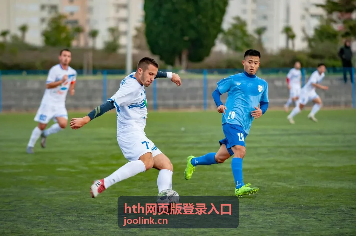 hth网页版登录入口访问示意画面